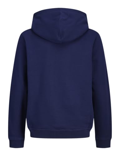Vêtements Jack & Jones Jornorrebro Emb Sweat Hood Noos Jnr pour Accessoires - vue 7