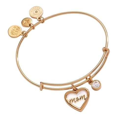 Alex and Ani Mother of Pearl Bangle Cover