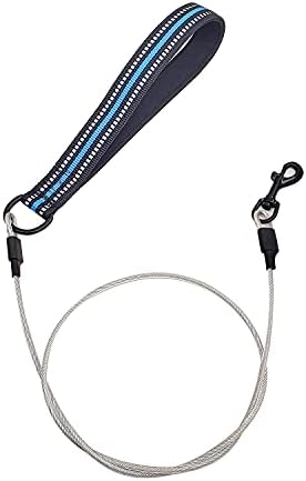 Suredoo Chew Proof Dog Lead with Soft Padded Handle, Chew Resistant Multi-strand Stainless Steel Wire Rope Metal Dog Leash for Small Medium Large Dogs (Blue)