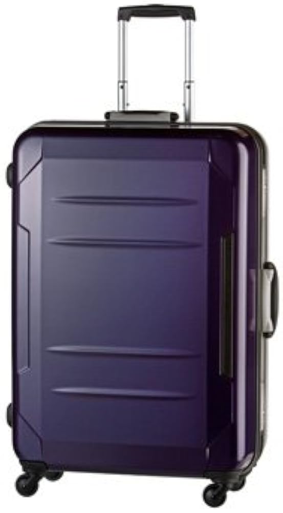 Amazon.co.jp: エース プロテカ リグロ63cm/63L スーツケース