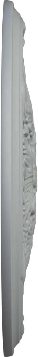 Ekena Millwork CM21LU 21-Inch OD x 2-Inch ID x 2-Inch P Luton Ceiling Medallion