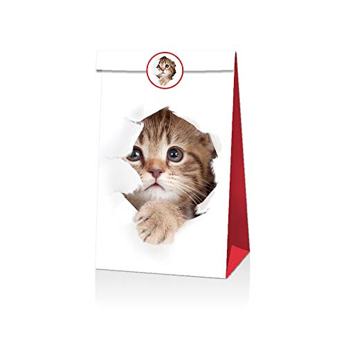 Pacote com 12 sacolas de presente para gatos | Saco de papel para aniversário, lembrancinhas de fest
