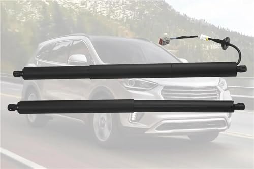 Vérins de hayon défaillant pour Ford Explorer de 2016 à 2019