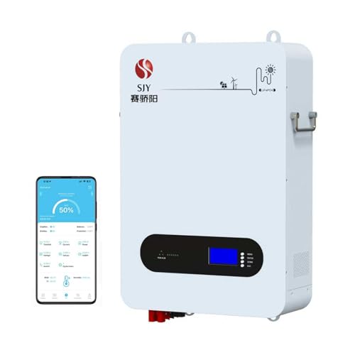 SaiJiaoYang 5kWh 48V 100Ah Lifepo4 Wall Mount Battery, 51.2V Lithium Battery Energy Storage for Home 6000+ Deep Cycle Built-in BMS LCD Screen, 15 Year Lifetime, Solar System
