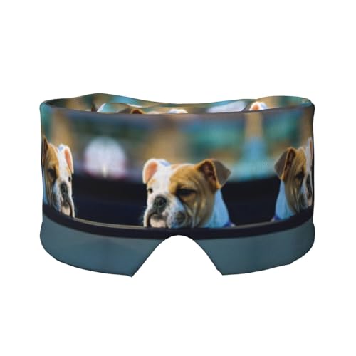 킢uhbOvgX[v}XNA_炩ɗDACJo[AspK̂QpՌX[sO}XN