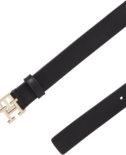 Tommy Hilfiger AW0AW17248