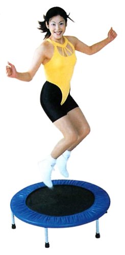 トランポリンが解せぬ柴犬 ニコニコ動画