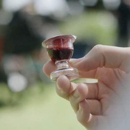 TrueVine Chalice Prefilled Communion Cups and Wafer Set - Prefilled Communion Cups with Bread & Juice - Fresh, Easy-Open Communion for Your Service (6 Chalices)