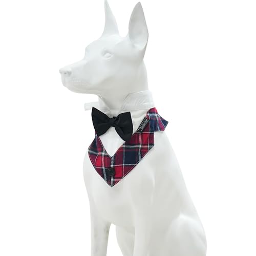 MAMORE �t�H�[�}�� �� �^�L�V�[�h �o���_�i�A���l�N�^�C�t�����߉\�ȃE�F�f�B���O�J���[�A���̃R�X�`���[�� �a�����p�[�e�B�[�M�t�g �� �� ��^�� �L (���b�h&�z���C�g�AS)