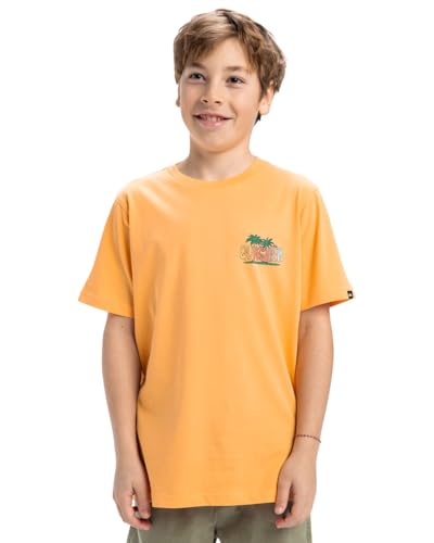 T-shirt Garçon Quiksilver Ev Sunny Palms Anti-Transpiration en Coton Doux Évite les Irritations