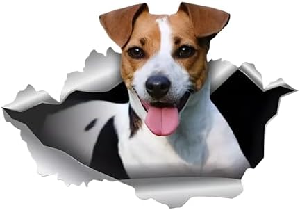 Autoaufkleber 25cm(9.8 Inch) Jack Russell Terrier Reflektierende Aufkleber Lustig Jack Russell Terrier Car Sticker Haustier Hund Wasserdichte Aufkleber 3D Zerrissen Metall Aufklebe