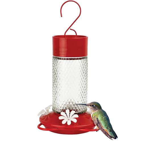 Nature's Way Hanging Glass Hummingbird Feeder for Outdoor Décor, 13 Ounce Capacity Nectar Feeder,...