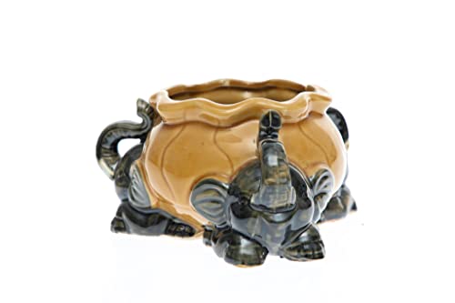 Lucky Bamboo Decorative Assorted Round Elephant Pot/Planter l 4' Lucky Bamboo Vase l Chinese New...