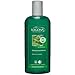 Produktbild Logona Shampoo Glanz mit Brennnessel, 500 ml, Bio, 2 Stück