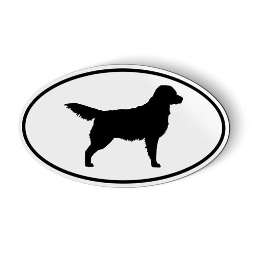 Imán Ovalado Golden Retriever 5.5 pulgadas