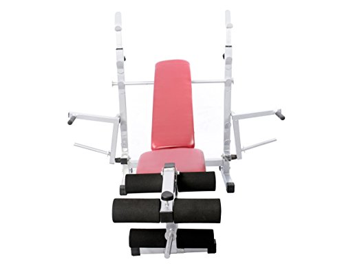 Image of Lifeline 309 Multi Bench