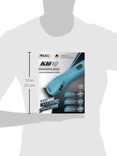 https://m.media-amazon.com/images/I/311FbSe1p-L.jpg