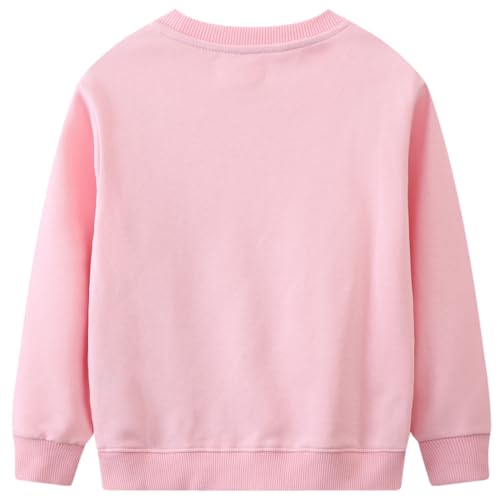 Image of Bumeex Girls Cotton Crewneck Cute Sweatshirts The Hedgehog and The Fox Pink 2-7T