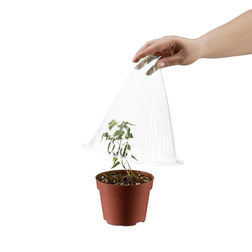 Relaxdays Pflanzenhut, 10er Set, Schneckenschutz, Frostschutz, HxBxT: 22 x 19 x 19 cm, Pflanzhut Kunststoff, transparent
