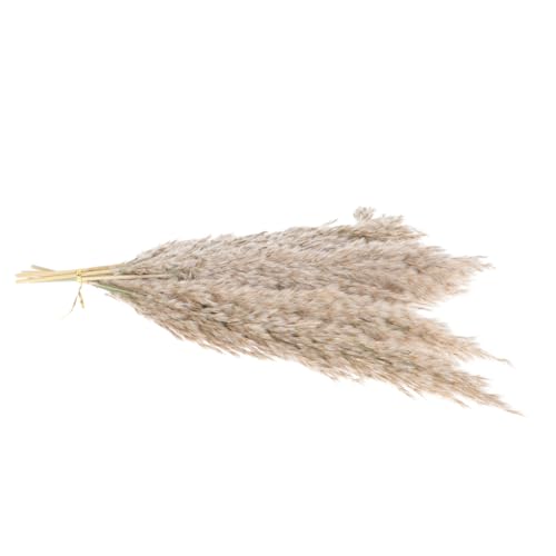Ramo Natural de Flores Secas 15pcs Decoración Nórdica miniatura 1