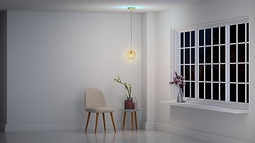 Image of SkyX SkyPlug Standard Plug & Play Lighting Base - Capella-Champagne Bronze Finish
