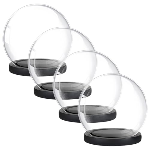 Cúpula de vidrio con base de madera set de 4 piezas para flores preservadas 2