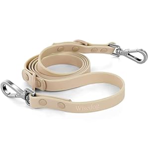 Waterproof Dog Leash: Standard Dog Leashes with 2 Hooks for Walking, Adjustable Lengths for Traffic Control Safety, Durable and Odor Proof, for Medium Large Dogs (Sand Color,M)