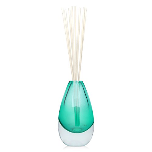 Acqua Aroma Design Collection Reed Diffuser Bottle (Green)