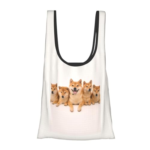 [NEXEAR] Č  8 GRobO ܂肽  ϋv e h @\ RpNg W gѕ֗y JԂ ObYGRobO jp