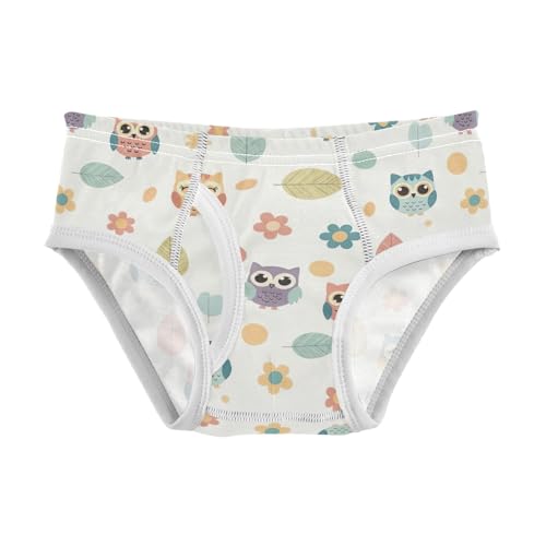 ODAWA Cute Cartoon Owls Cotton Toddler Underwear, Tag-Free Comfort 2T Boy Underwear