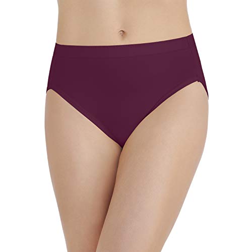 Image of Vanity Fair Women's Body Caress Brief Panty 13138