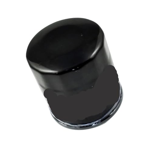 Filtre à huile moto haute capacité pour VZR1800 et M109R 1 pièce