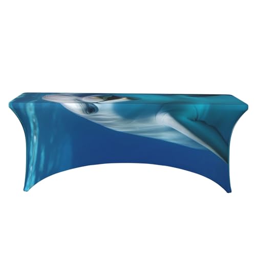 Nappe de table rectangulaire universelle extensible pour buffet de mariage - 3