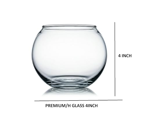 Image of CAS 1L to 14L Glass Fish Bowl (4 INCH (Premium), Glass Bowl, Without Neck)