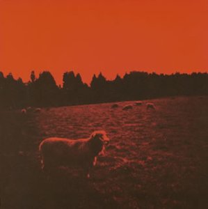 Hell See Amazon Com Music