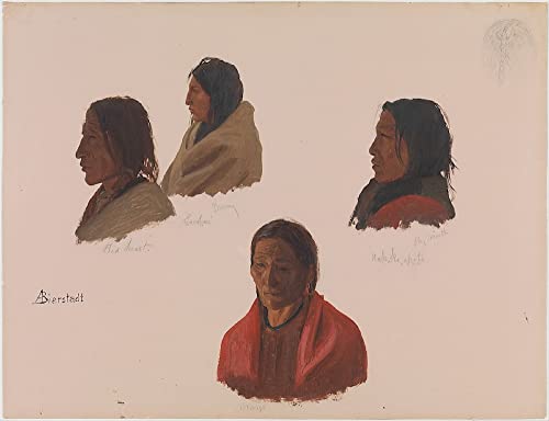 Études de chefs indiens Albert Bierstadt toile 60x90cm pour mur vide
