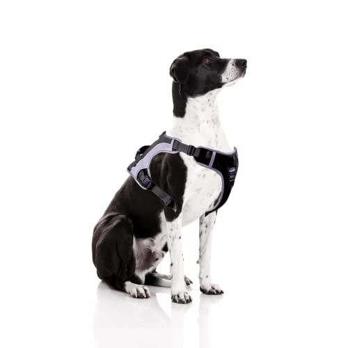 Hundegeschirr-Set Mit Leine – Verstellbar, Reflektierend, Für Große Hunde (XL, Halsumfang 69,9 Cm+)