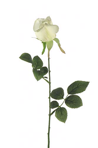 Express Flor 6 Rosas Romina Artificiales de Seda Cover