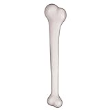 Accesorios Widmann 2312C - Hueso gigante, Blanco, 38 cm