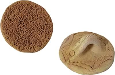 Terracotta Best Natural Pumice Stone Foot Scrubber 100% Mitti Ka Handmade Organic Clay Pack of 2