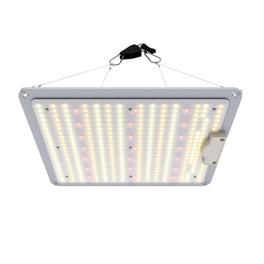 COMPO Anwachs-Turbo, Hochwirksames Bewurzelungshilfsmittel, 0,7 kg 14 Aufun Pflanzenlampe Led Vollspektrum, 100W Pflanzenlampen LED Grow Light, Pflanzenlicht Pflanzenleuchte Dimmen 0%-100% für Gewächshaus Zimmerpflanzen Sämling Gemüse Blüte für Growzelt