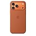 Produktbild Apple iPhone 17 Pro Max Silikon Case mit MagSafe - Terracotta