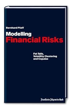 Hardcover Modelling Financial Risks: Fat Tails, Volatility Clustering and Copulae Book