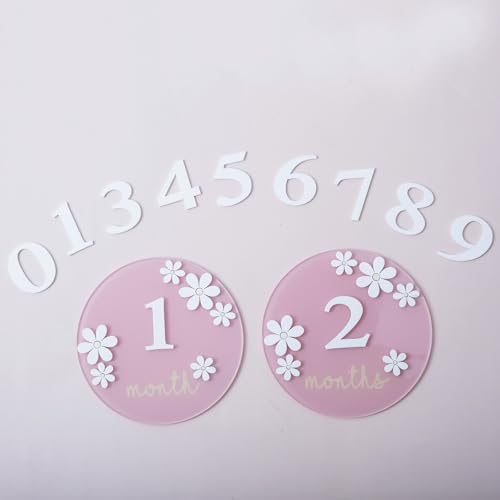 Image of Acrylic Daisy Baby Milestone Cards, 3D Baby Milestone Signs, 1-12 Months Interchangeable Monthly Milestone Sign, Baby Announcement Sign, Baby Photo Prop