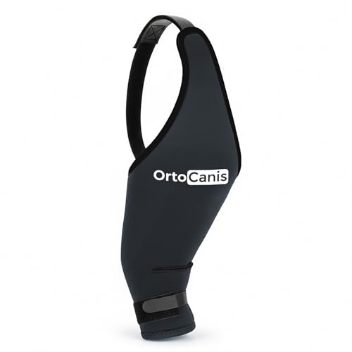 Ortocanis - Kniebandage Hund Hinterbein für das rechte Bein - Hergestellt aus Neopren ARD - Bei Kreuzbandriss, Bänderverletzungen, Patellaluxation oder Osteoarthritis - Größe Medium (11,5-12,2')