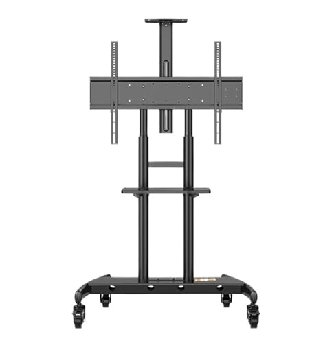 Chariot pédagogique à roulettes orientable pour écran plat et support TV dynamique