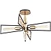 Maxim 11650BKSBR Wings Geometric Frame with Pointed Pin Flush Mount, 4-Light 240 Total Watts, 15"H x 25"W, Black/Satin Brass