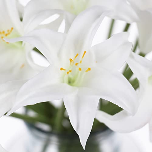 Tinsow Artificial Lily Real Touch Flowers Fake Latex Lily Flowers White Mini Lily for Wedding Home Decoration Small Easter Lily (White, 20)