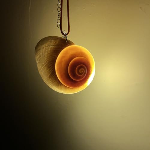 Really Shell Witch Costume Accessory - Adult Natural Big Conch Pendant Necklace - Fashion Beach Ocean Jewelry Gifts3