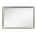 HomeRoots Rubberwood Modern Champagne Mirror with Rectangular Wood Trim